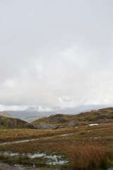 Boggy moorland: grass, rocks and wet puddles on the top of a mountain bog. Cloudy mountains in the distance; brown rushes and grey skies. Lake District, Cumbria, England, UK