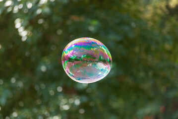 Soap bubble on the background of the forest.
