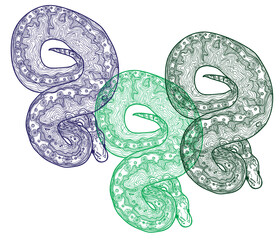  Royal python snake. Meditative coloring of antistress. Arrows, strips, scales, lines. Logo, print on the T-shirt. Children's painting, drawing by hand.  - 446864056