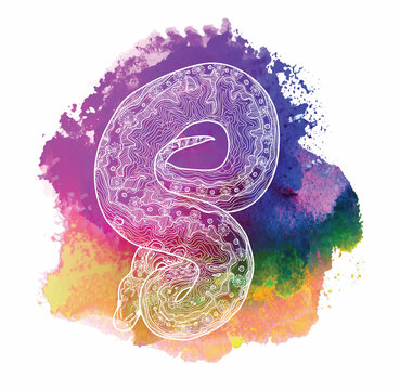 Royal python snake.  Meditative coloring of antistress. Arrows, strips, scales, lines. Logo, print on the T-shirt. Children's painting, drawing by hand. 