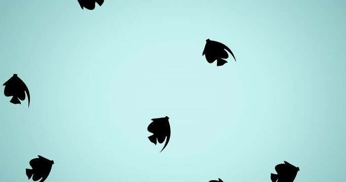 Animation of black fish on blue background