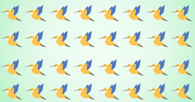 Animation of rows of tropical birds moving on green background