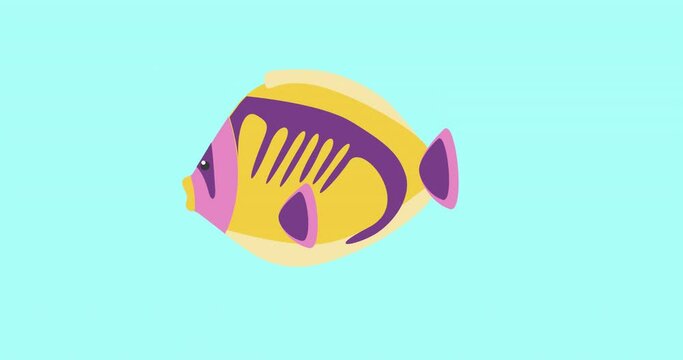 Animation of tropical fish with copy space on blue background