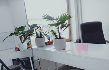 light office with white walls and flowers