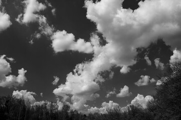 monochromatic landscape and sky with clouds
