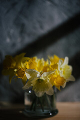 Still life of dafodils on a gray textured background
