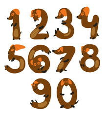 vector illustration of a number in the form of dogs dachshund number brown color hand drawing count from one to ten