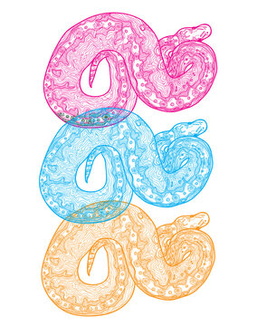 Royal python snake.  Meditative coloring of antistress. Arrows, strips, scales, lines. Logo, print on the T-shirt. Children's painting, drawing by hand. 