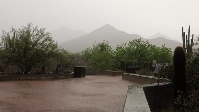 Monsoon Rain Storm In Scottsdale Arizona Park July 2021