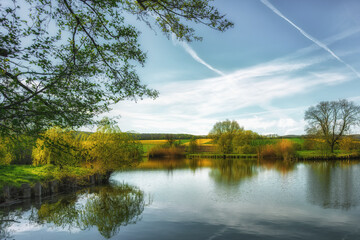 Obraz premium An idyllic small lake in the nature of the forest