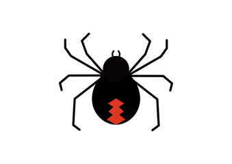 メスのセアカゴケグモーRed-back spider, Latrodectus hasseltii(female）
