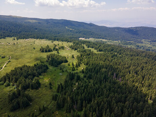 Fototapeta premium Aerial view of Konyarnika area ar Vitosha Mountain, Bulgaria