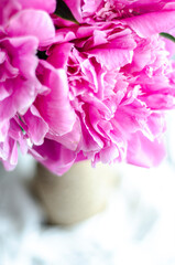 pink flowers in a vase, free space