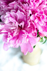 pink flowers in a vase, top view