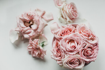 Obraz na płótnie Canvas flatley pink soft fluffy rose backgrounds