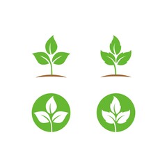 Plant green set. Green leaf ecology nature element symbol isolated on white background.