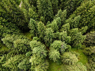 Aerial view of Konyarnika area ar Vitosha Mountain, Bulgaria