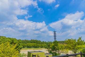 青空にそびえるタワー