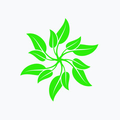 illustration of a collection of leaves that make up a flower 