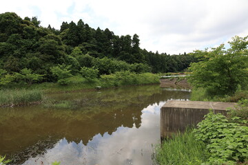 Fototapeta premium のどかな風景