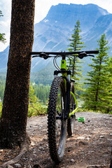 A adult mountain bike leaning up against a tree on a dirt cycling trail in the Rock Mountains of Banff National Park.
