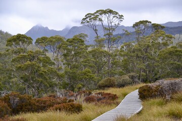 Hiking track boardwalk at Cradle Mountain in Tasmania