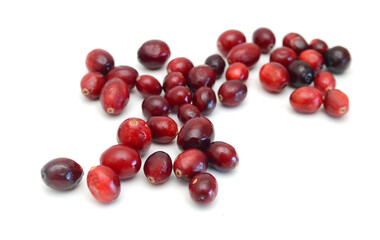 Cranberry isolated on white background