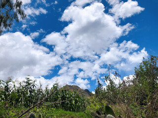 [Peru] Beautiful blue sky and mountain scenery seen from the train to Machu Picchu