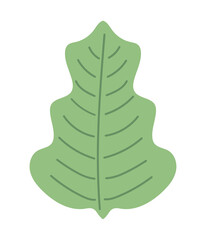 forest leaf icon