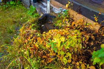 尾瀬ヶ原湿原の紅葉の風景 燧ヶ岳 至仏山 Scenery of autumn leaves in Ozegahara marshland Mt.Hiuchigadake Mt.Shibutsusan
