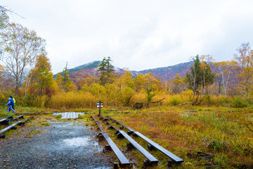 尾瀬ヶ原湿原の紅葉の風景 燧ヶ岳 至仏山 Scenery of autumn leaves in Ozegahara...