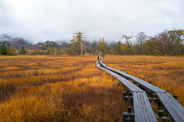 尾瀬ヶ原湿原の紅葉の風景 燧ヶ岳 至仏山 Scenery of autumn leaves in Ozegahara marshland Mt.Hiuchigadake Mt.Shibutsusan