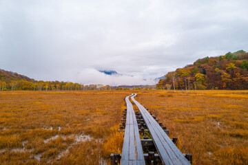 尾瀬ヶ原湿原の紅葉の風景 燧ヶ岳 至仏山 Scenery of autumn leaves in Ozegahara marshland Mt.Hiuchigadake Mt.Shibutsusan