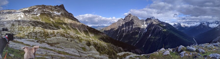 Obraz premium view of the mountains