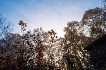 尾瀬ヶ原湿原の紅葉の風景 燧ヶ岳 至仏山 Scenery of autumn leaves in Ozegahara marshland Mt.Hiuchigadake Mt.Shibutsusan
