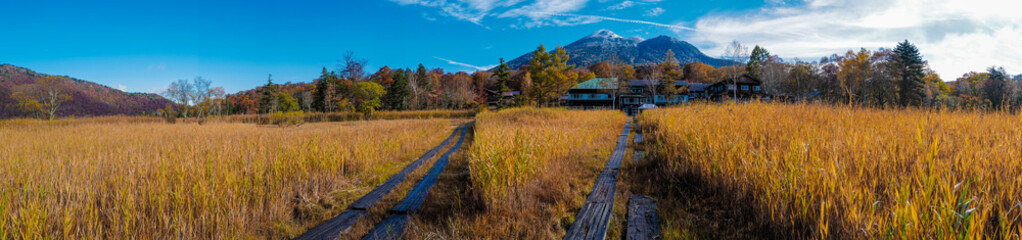 Obraz premium 尾瀬ヶ原湿原の紅葉の風景 燧ヶ岳 至仏山 Scenery of autumn leaves in Ozegahara marshland Mt.Hiuchigadake Mt.Shibutsusan