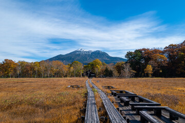 尾瀬ヶ原湿原の紅葉の風景 燧ヶ岳 至仏山 Scenery of autumn leaves in Ozegahara...