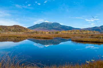 尾瀬ヶ原湿原の紅葉の風景 燧ヶ岳 至仏山 Scenery of autumn leaves in Ozegahara marshland Mt.Hiuchigadake Mt.Shibutsusan