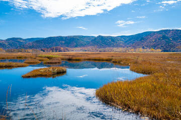 尾瀬ヶ原湿原の紅葉の風景 燧ヶ岳 至仏山 Scenery of autumn leaves in Ozegahara marshland Mt.Hiuchigadake Mt.Shibutsusan