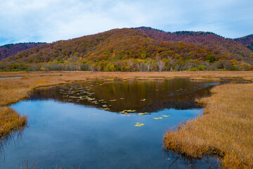 尾瀬ヶ原湿原の紅葉の風景 燧ヶ岳 至仏山 Scenery of autumn leaves in Ozegahara marshland Mt.Hiuchigadake Mt.Shibutsusan