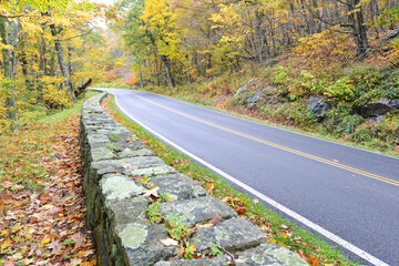 Autumn foliage in Shenandoah National Park - Virginia, United States