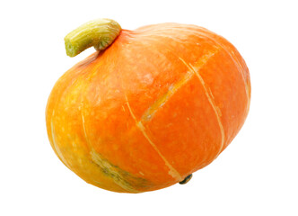 Orange pumpkin on white background 