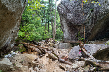 夏の瑞牆山の登山道の風景 A view of the trail in summer at Mt.Mizugakiyama.