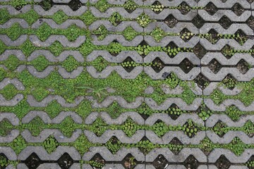 seamless knitted pattern