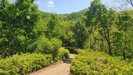 청계산