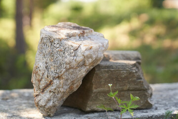 Stone on the background of green plants, the perfect podium for your product, natural background with textured pedestal. High quality photo