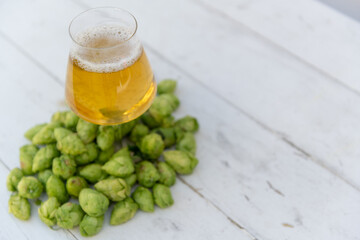 Hops & Beers, Fresh homegrown hops for brewing beer. Hops, Brews, Home Brew, IBU, IPA, Hop fest, vine, hop vine, backyard brewing