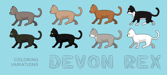 Fototapeta premium Cat Devon Rex Coloring Variations Vector Illustration