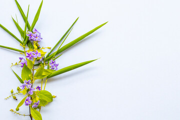 little purple flowers arrangement flat lay postcard style on background white