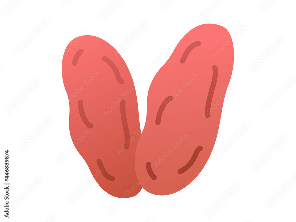 Poster palm date single isolated icon with smooth style